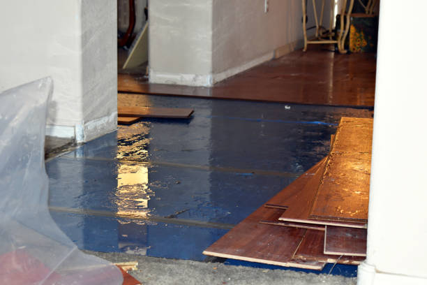 Professional Basement Flood Cleanup technician working in Sedalia, OH